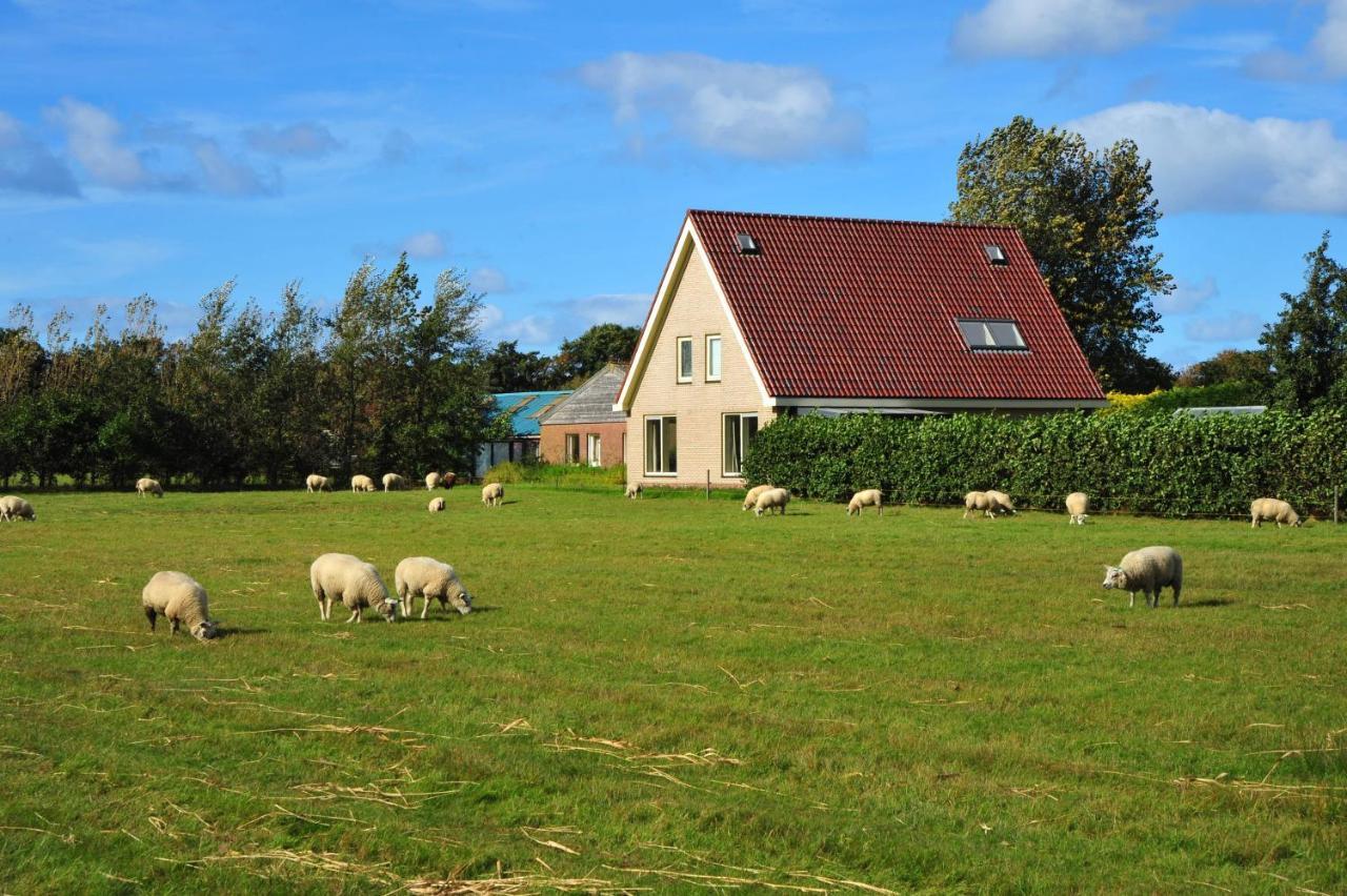 デ・コーフ Witte Weelde Texel Bed & Breakfast エクステリア 写真